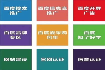 案例对比：不同竞价广告平台的优劣